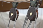 IMG_7980HD
